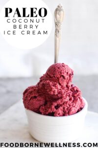 Paleo Coconut Berry Ice Cream
