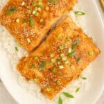 Apricot glazed salmon topped with sesame seeds and green onions.