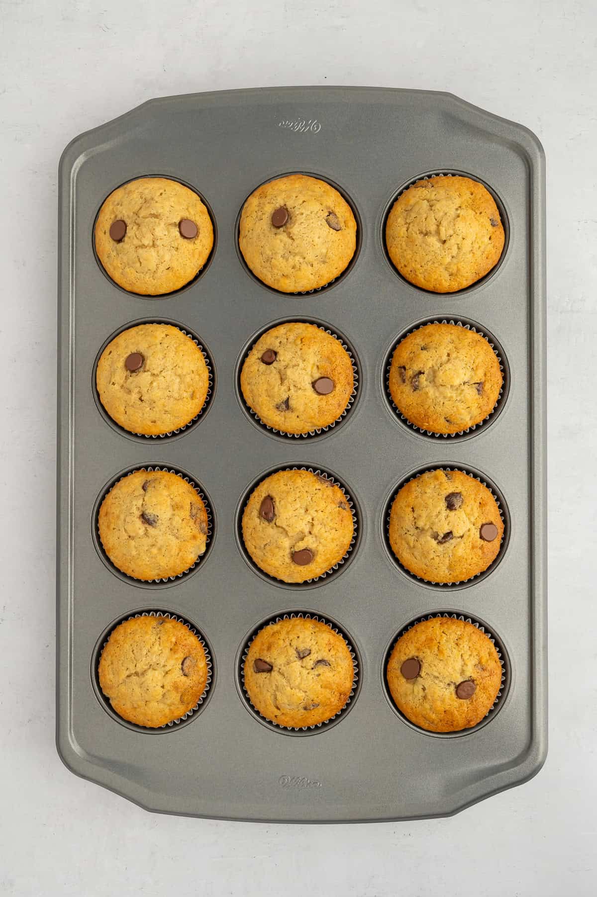 Baked gluten-free chocolate chip muffins in muffin tin.